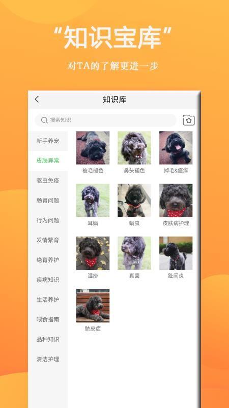 狗狗Bing商城app下载,狗狗Bing商城安卓版