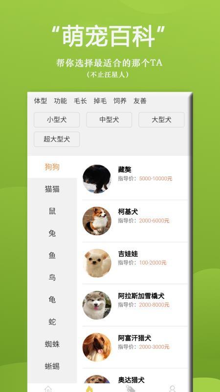 狗狗Bing商城app下载,狗狗Bing商城安卓版